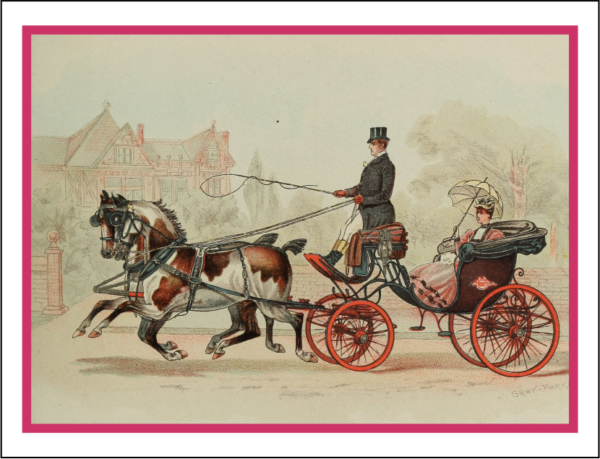 Thorwood ANL 013 Greeting Card