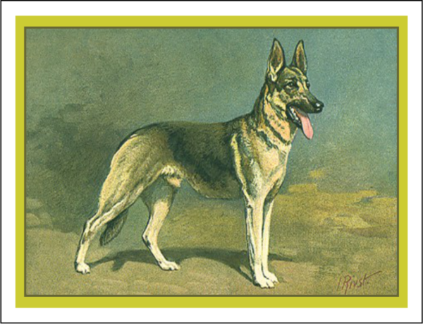 Thorwood ANL 048 Greeting Card