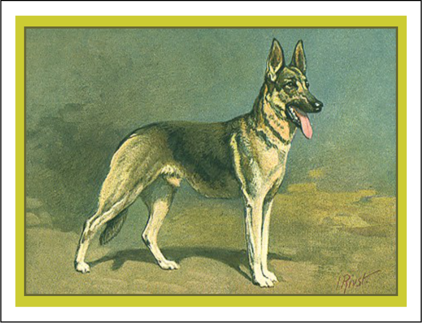 Thorwood ANL 048 Greeting Card