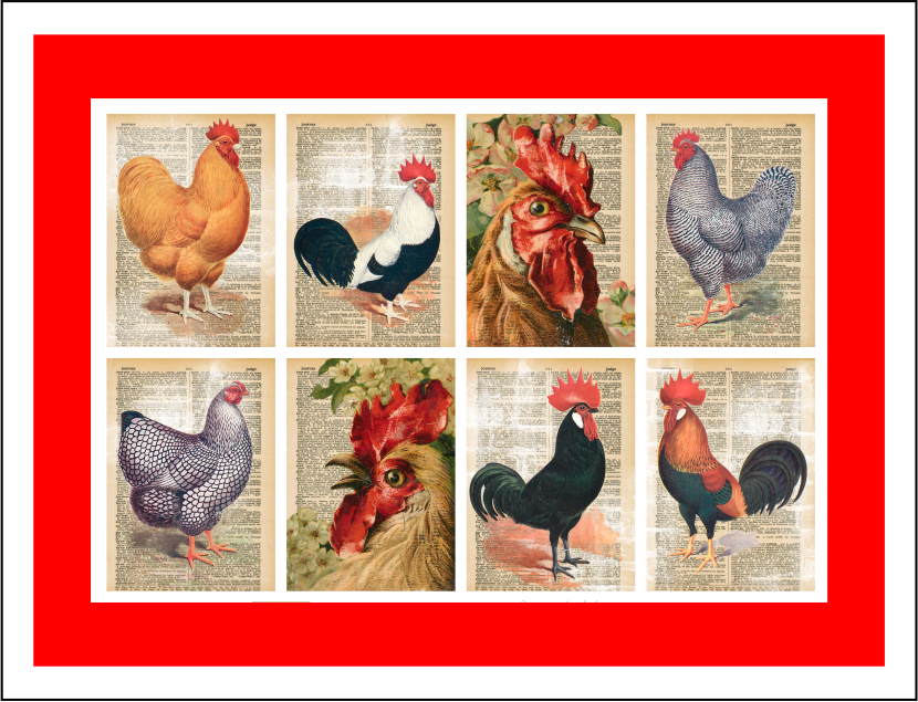 Thorwood BDS 008 Greeting Card