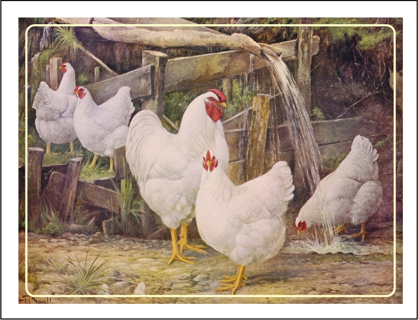 Thorwood BDS 009 Greeting Card