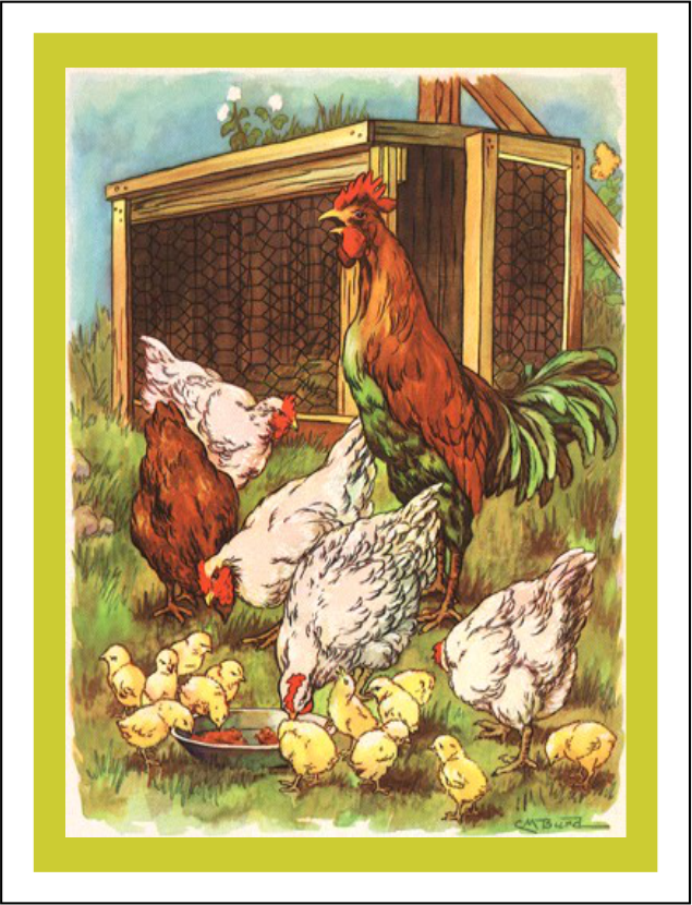 Thorwood BDS 011 Greeting Card