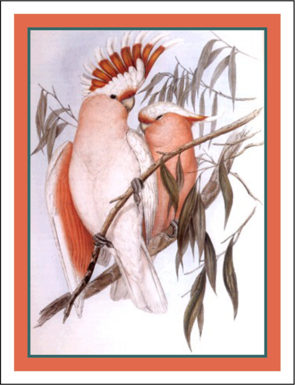 Thorwood BDS 012 Greeting Card