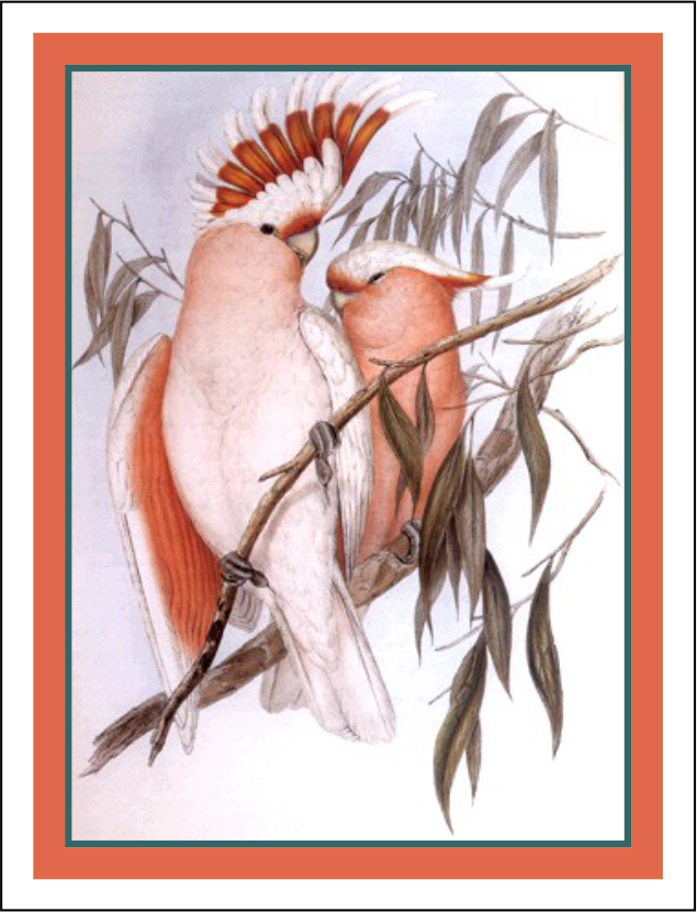Thorwood BDS 012 Greeting Card