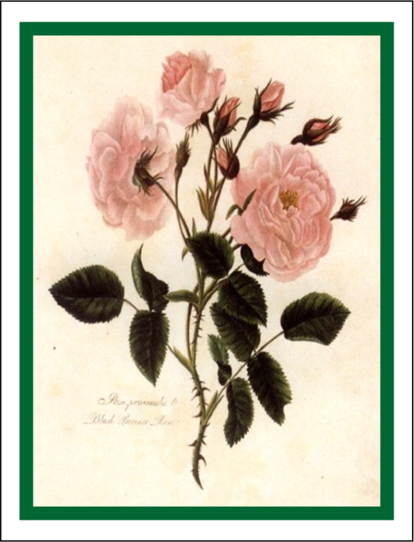 Thorwood HOR 006 Greeting Card