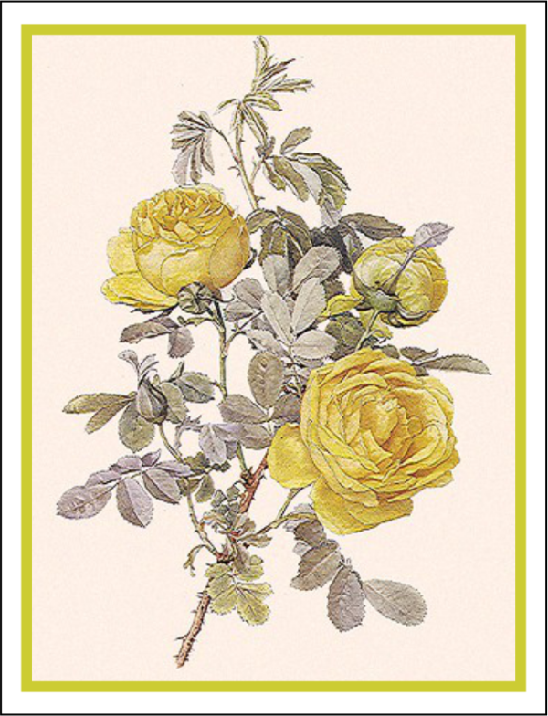 Thorwood HOR 007 Greeting Card