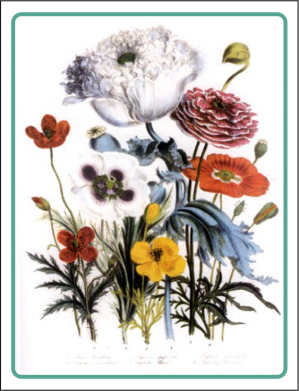 Thorwood HOR 017 Greeting Card