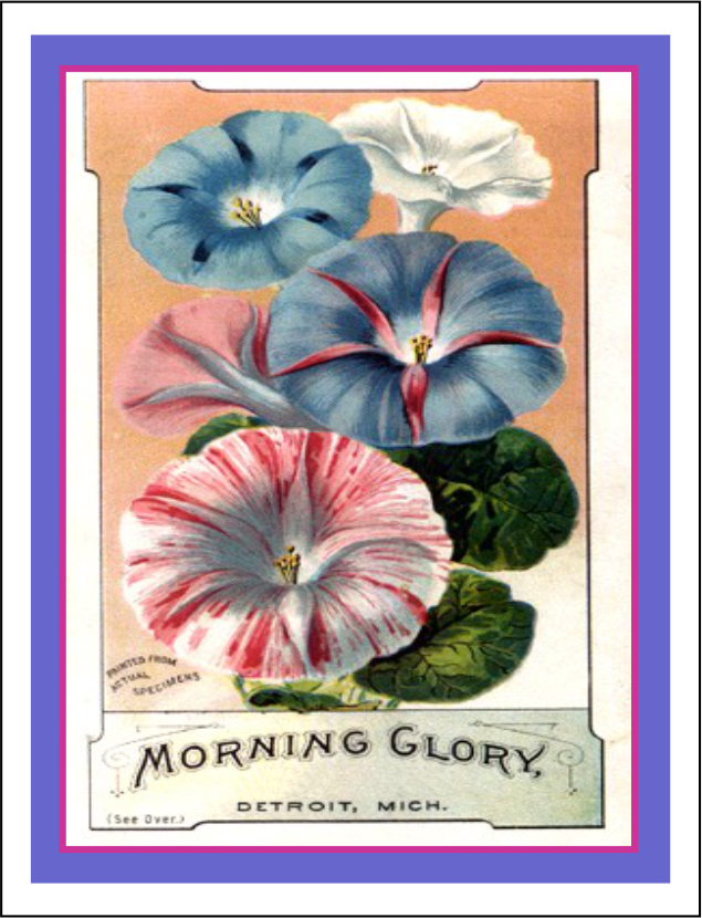 Thorwood HOR 019 Greeting Card