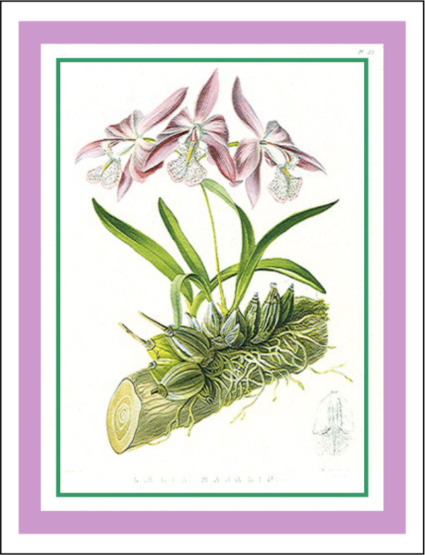 Thorwood HOR 020 Greeting Card
