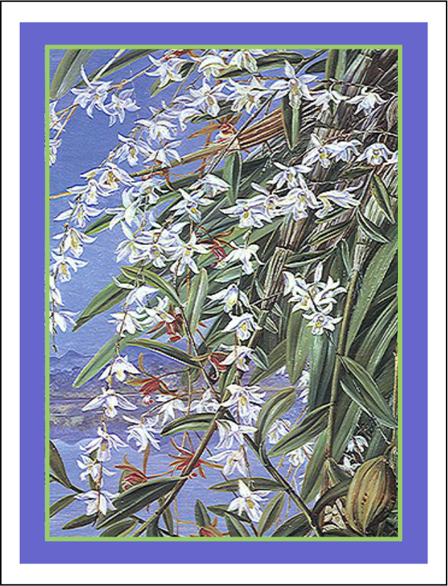 Thorwood HOR 023 Greeting Card