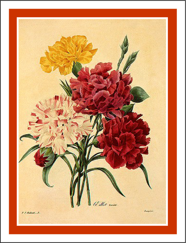 Thorwood HOR 038 Greeting Card