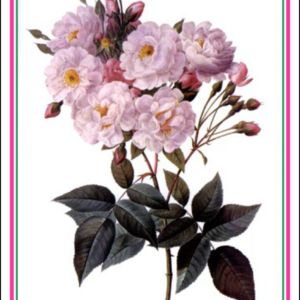 Thorwood HOR 056 Greeting Card