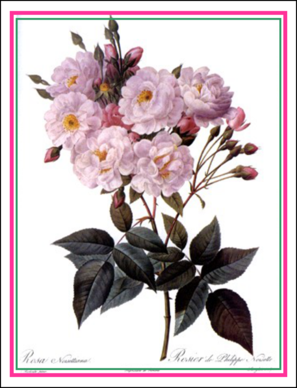 Thorwood HOR 056 Greeting Card