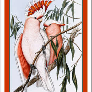 Thorwood BDS 012 Greeting Card