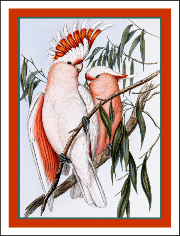 Thorwood BDS 012 Greeting Card