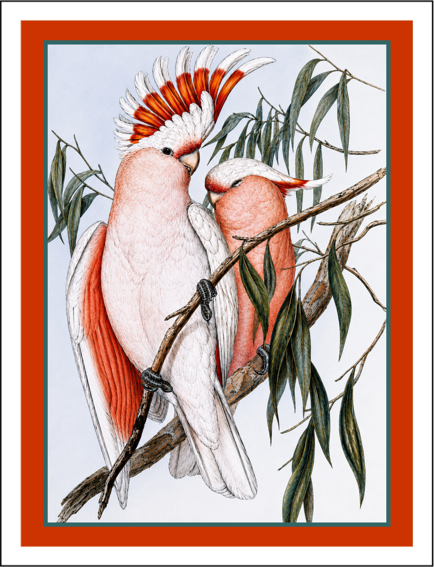 Thorwood BDS 012 Greeting Card