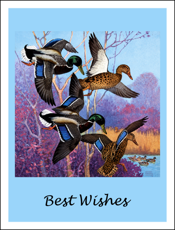 Thorwood BDS 020 Greeting Card