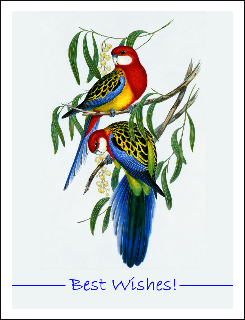 Thorwood BDS 021 Greeting Card