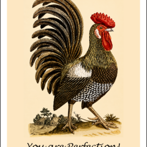 Thorwood BDS 022 Greeting Card