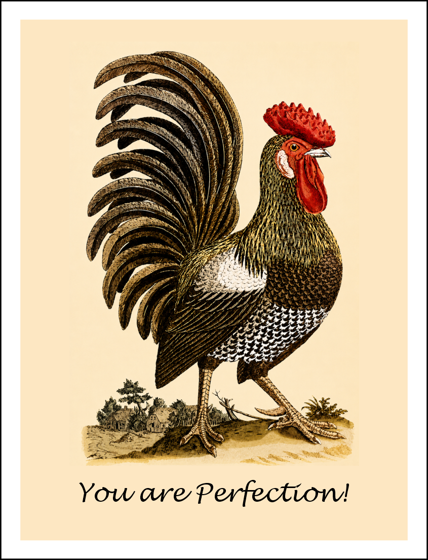 Thorwood BDS 022 Greeting Card