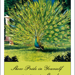 Thorwood BDS 023 Greeting Card